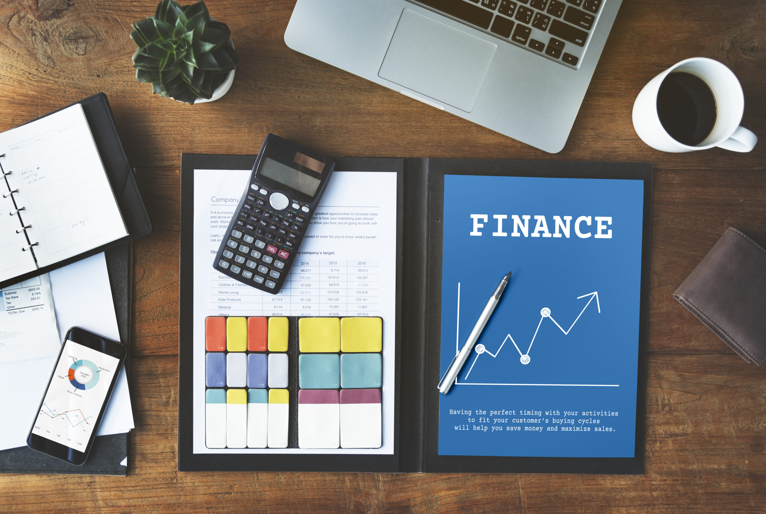 Development Finance