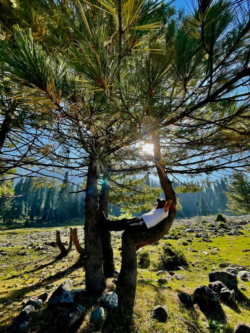Travel Image